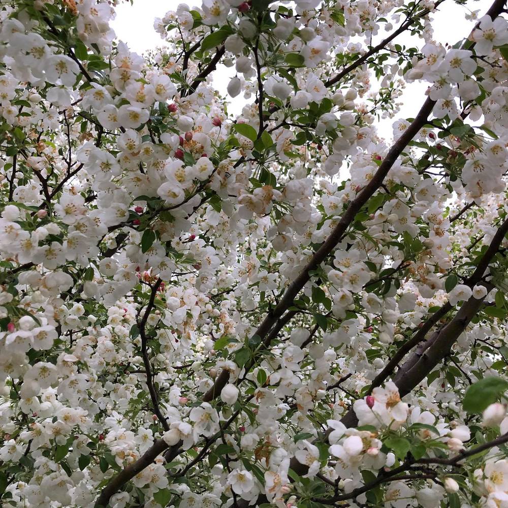 Meet your Posher, Yuliya